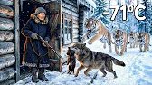This Old Lady With Her Dogs Fight Tigers Saved Mother Wolf And Her Cub In Extreme –71°C Blizzard.