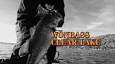 My First Wonbass Tournament at Clear Lake 2026 (Winter Open)