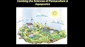 Closed-Loop Aquaponics: Combining the Sciences of Permaculture & Aquaponics With Max Meyers