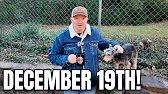 Let's Talk About why Everyone's GOOGLING December 19th