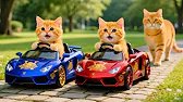 Mama Cat Trims Fur on The Farm and Makes Tiger Hat For Kittens At Home 🐾 🎩🐯