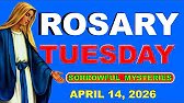 Holy Rosary For Today | Sorrowful Mysteries 4/14/2026 | Catholic Rosary Prayer —Holy Rosary 247