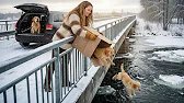 She Threw Puppies Into an Icy River — The Rescue That Followed Broke Everyone’s Heart