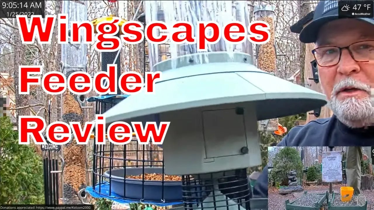 Wingscape Feeder Review
