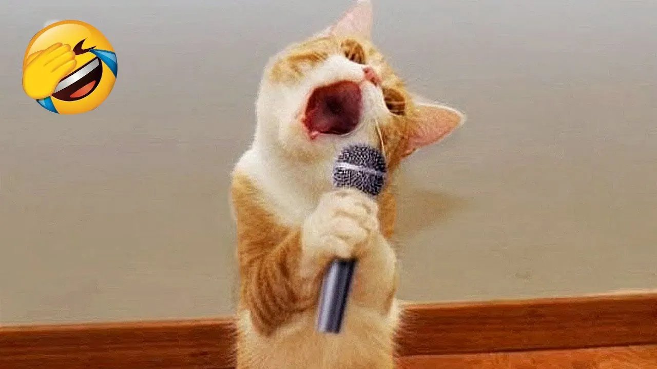Funniest Animals 2023 😆😍 New Funny Cats and Dogs Videos 😹🐶 Part 6