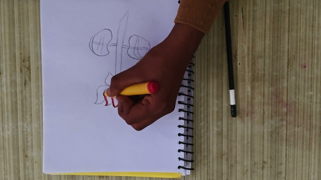 Beautiful flowers sketch art drawing by e