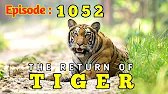 The Return Of Tiger Episode 1052