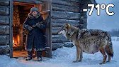 At −71°C An Elderly Woman And Her Dogs Saved A Pack Of Wolf Cubs… What Happened Next.