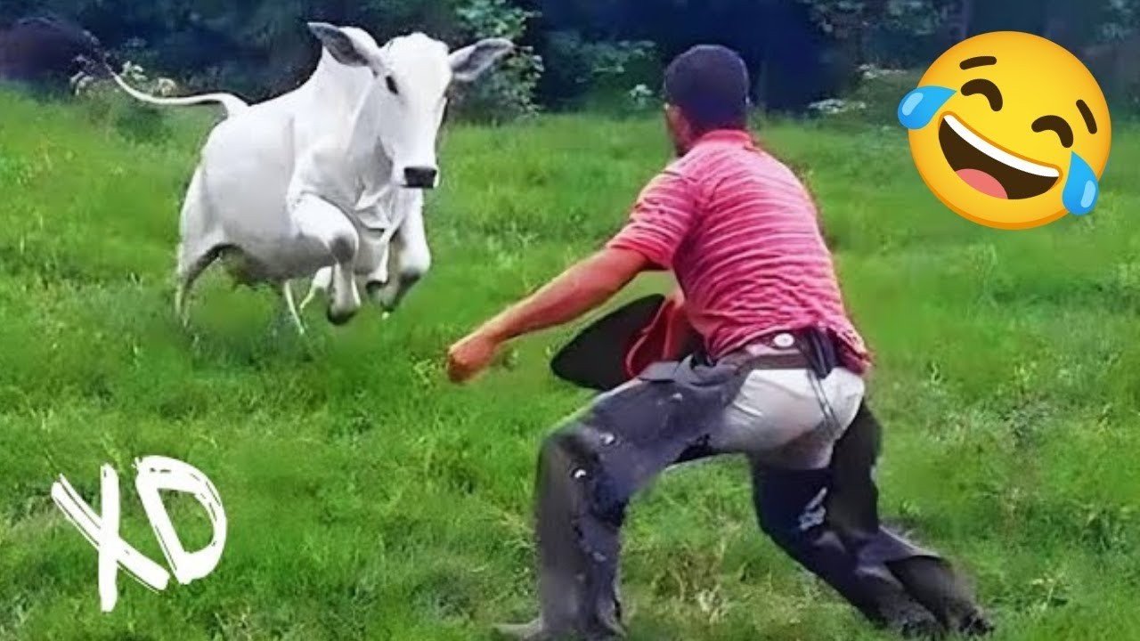 TRY NOT TO LAUGH 😁 Best funny video compilation🤣🤣 moment