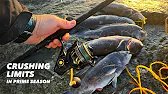 Crushing Limits in Prime Season - Tautog Fishing in the Fall