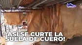 ¡CURTIDO DE SUELA O SILLERO PARA CALZADO O MARROQUINERÍA!