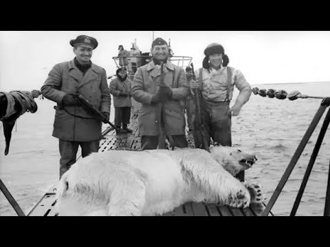 The Nazi Weather Station Killed by a Polar Bear Steak