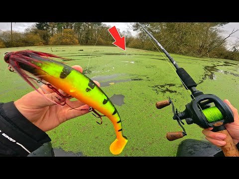 I'm returning to this WILD AREA to take my re...