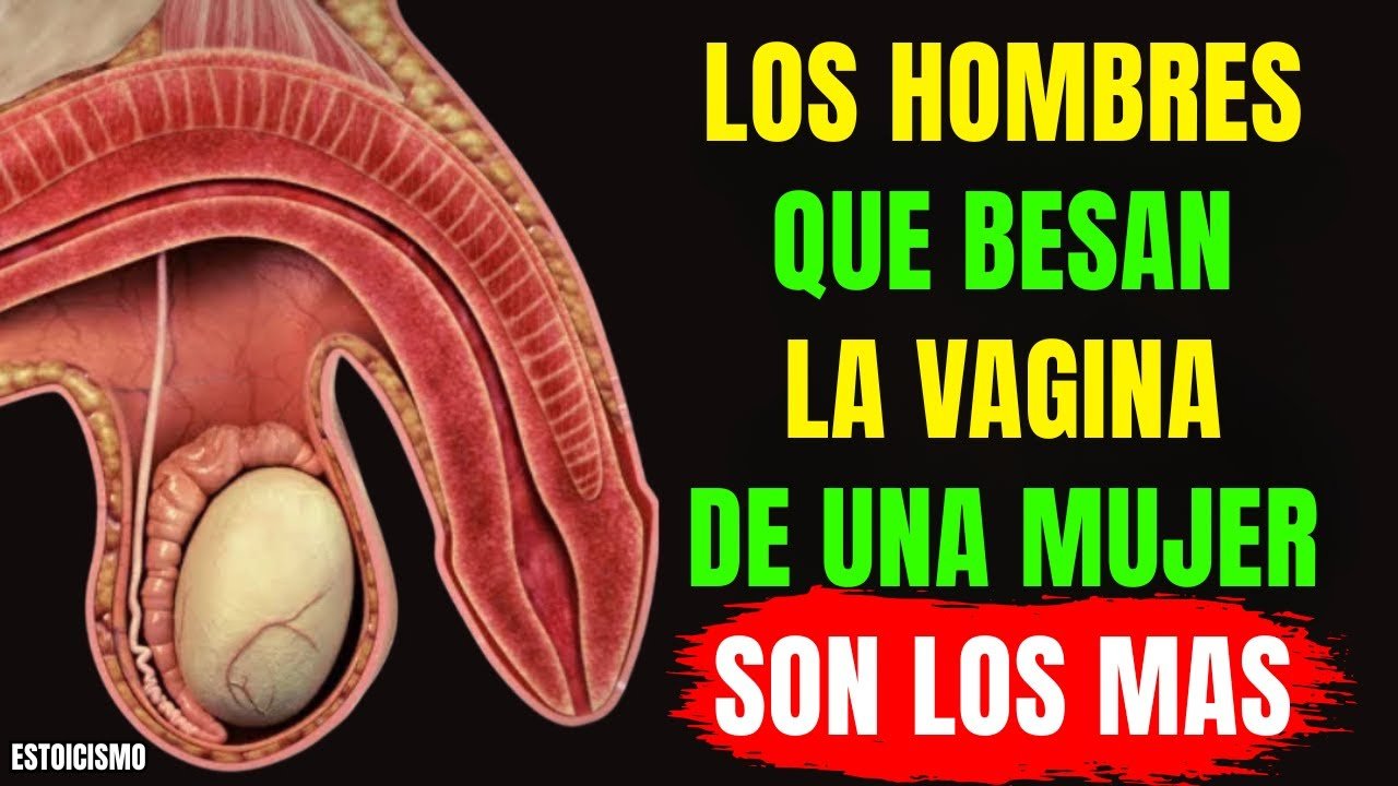 👉 “Si eres un hombre mayor, NECESITAS ver esto | Sabiduría estoica que cambia tu vida”