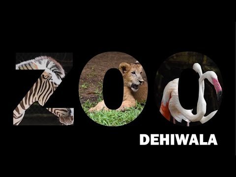 Dehiwala Zoo | Sri Lanka