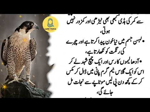 Hikmat Ki Batain | Motivational Quotes About Life Urdu | Sunharay Haroof | Totkay