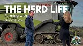 The Herd Life, Farming at Goodfellow Farm