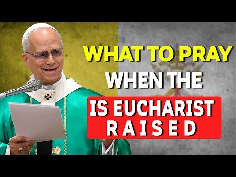 DO THIS WHEN THE EUCHARIST IS LIFTED — Pope L...