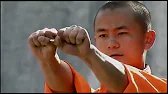 "Loto y Espada " | Shaolin Temple Documentary | Documental Historia Wushu español